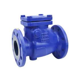 cv5185-cast-iron-swing-check-valve-flanged